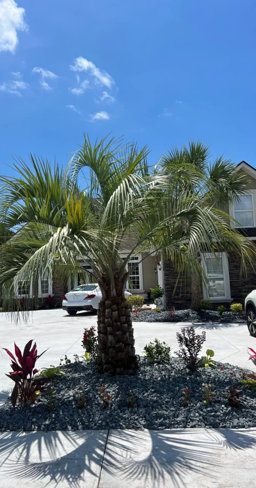 Aguilar M Landscaping LLC (67)