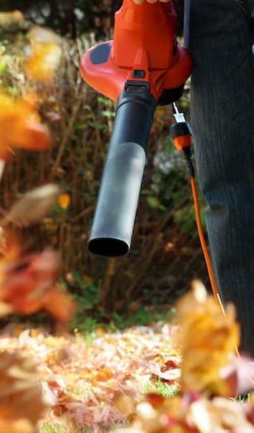 Leaf & Debris Blowing
